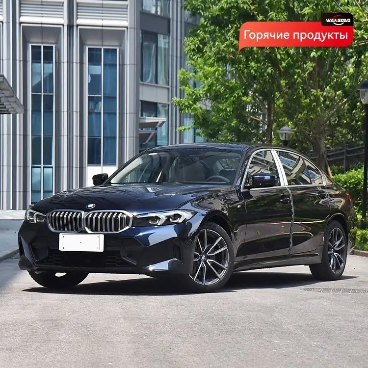 BMW 320Li