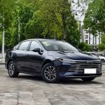 BYD Destroyer
