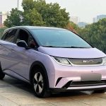 Dolphin 2023 420km FreedomEdition