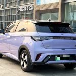Dolphin 2023 420km FreedomEdition