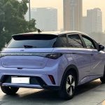 Dolphin 2023 420km FreedomEdition