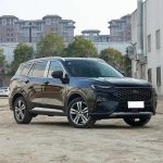 Ford Lingrui