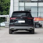 Ford Lingyu