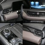 Ford Lingyu