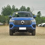 Great Wall Wall Pickup