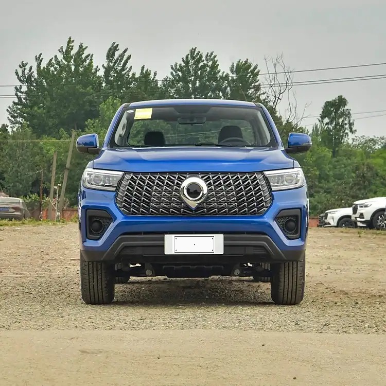 Great Wall Wall Pickup