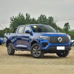 Great Wall Wall Pickup