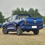 Great Wall Wall Pickup