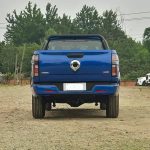 Great Wall Wall Pickup