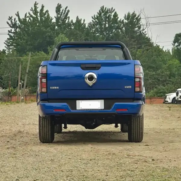 Great Wall Wall Pickup