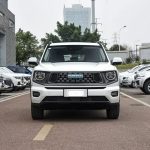 Haval Big Dog