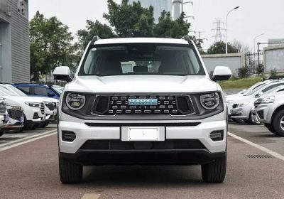 Haval Big Dog