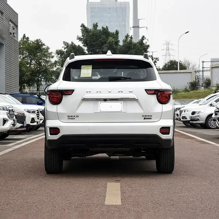 Haval Big Dog