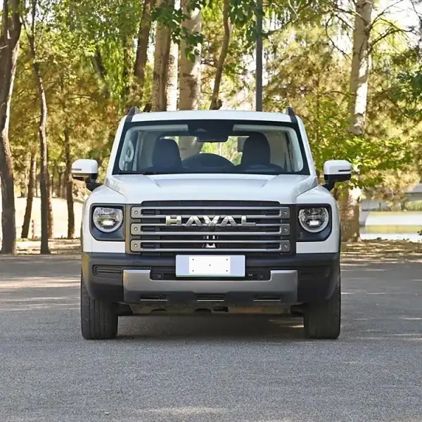 Haval Raptor