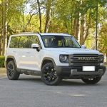 Haval Raptor
