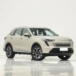 Haval Xiaolong