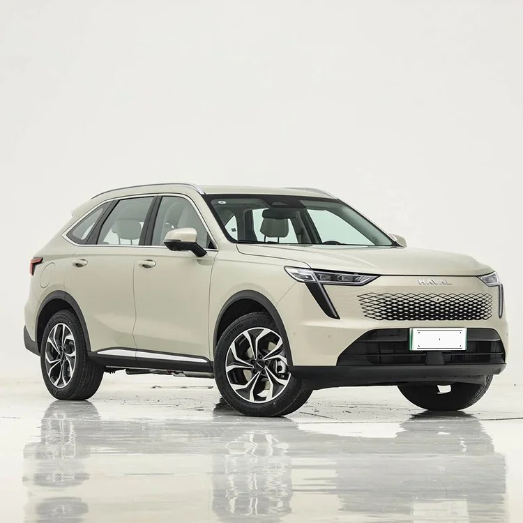 Haval Xiaolong