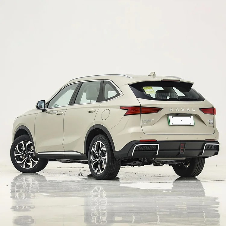 Haval Xiaolong