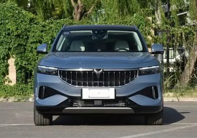 Lantu SUV 40000KM