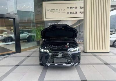 Lexus NX 2022 260 FWD JoyEdition