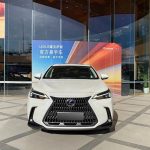 Lexus NX 2024 260 FWD JoyEdition