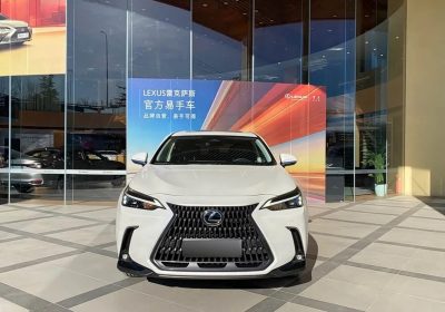 Lexus NX 2024 260 FWD JoyEdition