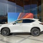 Lexus NX 2024 260 FWD JoyEdition