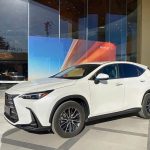 Lexus NX 2024 260 FWD JoyEdition