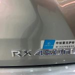 Lexus RX 2020 450hL AWDEleganceEdition7-Seat China 6