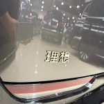 Li MEGA 2025 Home Home SpecialEdition