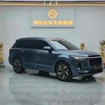 Li ONE 2021 EREV6-SeatEdition