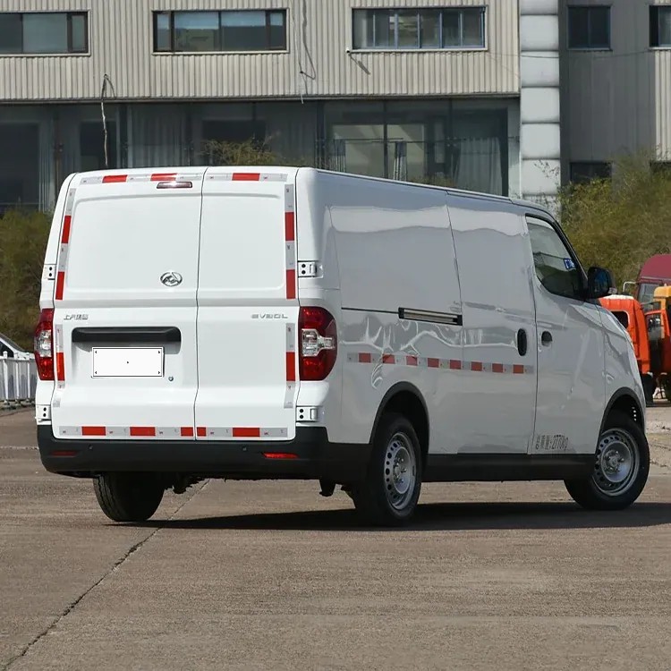 Maxus EV30