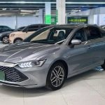 QinPLUS 2021 DM-i 55KM Flagship