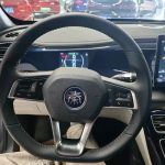 QinPLUS 2021 DM-i 55KM Flagship