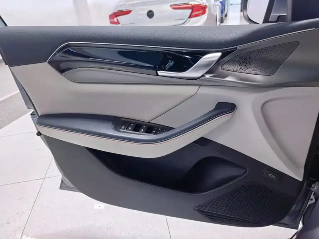 QinPLUS 2021 DM-i 55KM Flagship