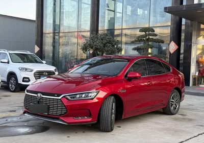 QinProEV 2018 EV500 Connected