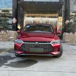 QinProEV 2018 EV500 Connected