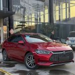 QinProEV 2018 EV500 Connected