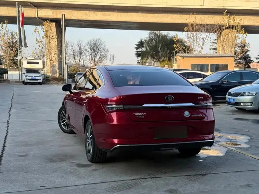 QinProEV 2018 EV500 Connected