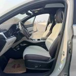 SongPLUSEV 2025 DM-i 112KM Premium