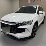 SongProEV 2023 ChampionEdition DM-i 110KMExcellence