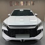 SongProEV 2023 ChampionEdition DM-i 110KMExcellence