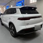 SongProEV 2023 ChampionEdition DM-i 110KMExcellence