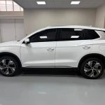 SongProEV 2023 ChampionEdition DM-i 110KMExcellence