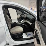SongProEV 2023 ChampionEdition DM-i 110KMExcellence
