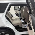 SongProEV 2023 ChampionEdition DM-i 110KMExcellence
