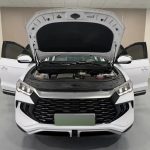 SongProEV 2023 ChampionEdition DM-i 110KMExcellence