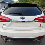 TangEV 2015 2.0T AWDFlagship
