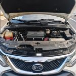 TangEV 2015 2.0T AWDFlagship