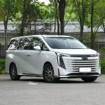 Trumpchi E9